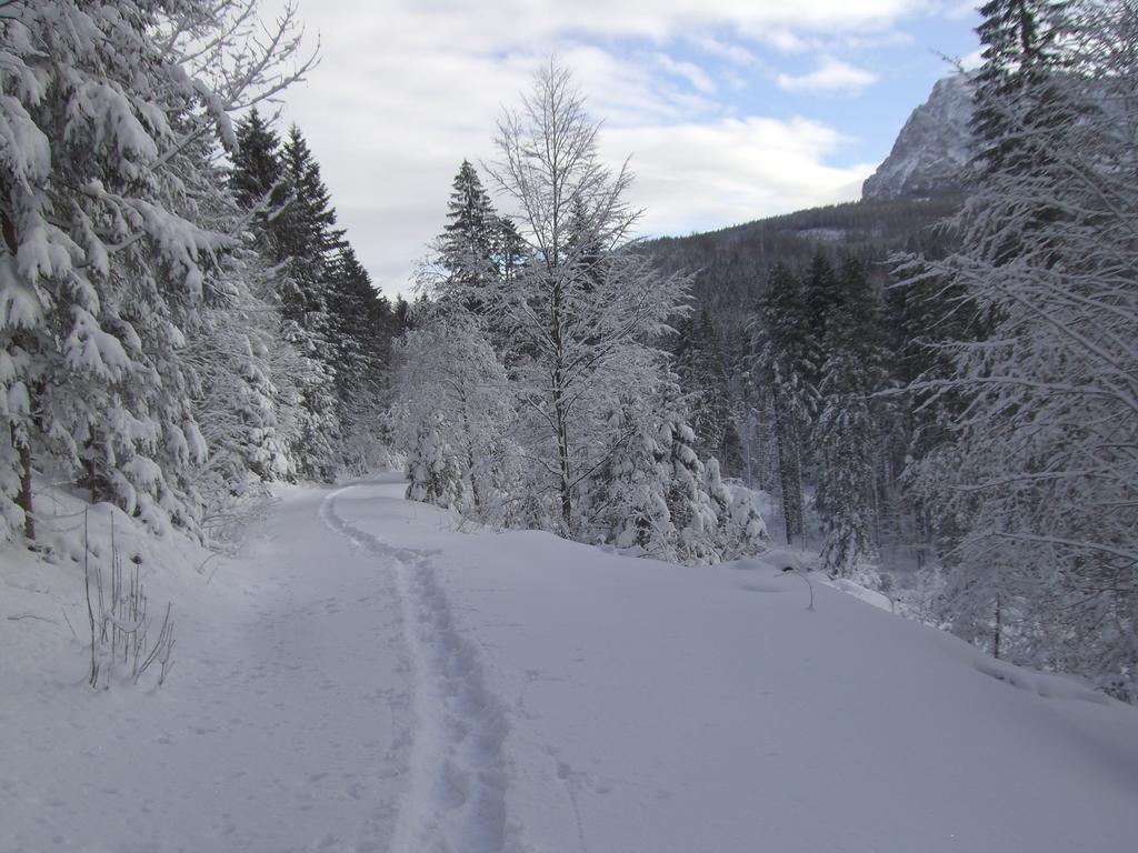 Ferienwohnung Am Roemerweg Wald Inzell Ngoại thất bức ảnh