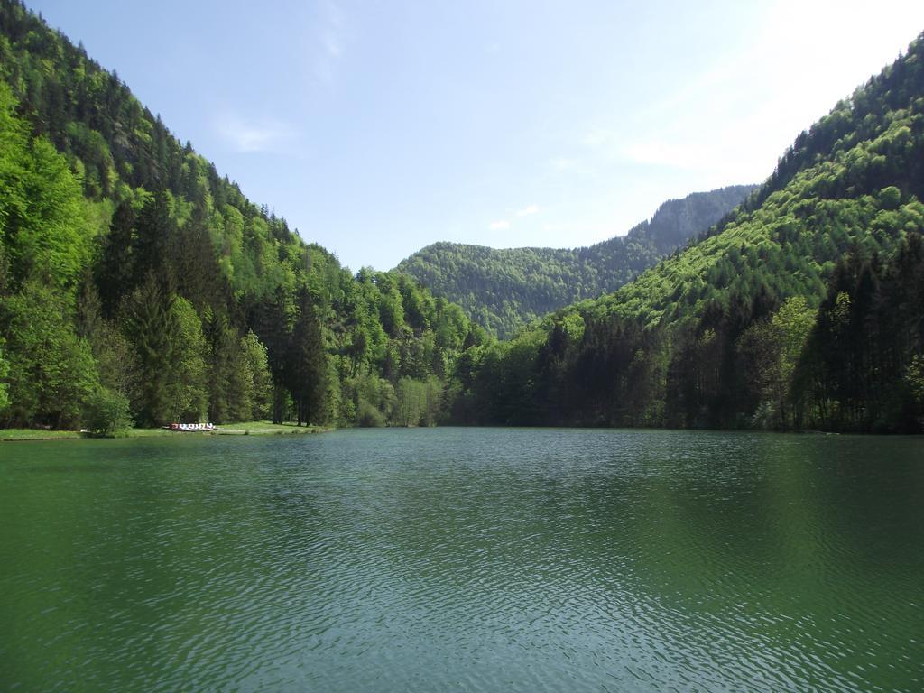 Ferienwohnung Am Roemerweg Wald Inzell Ngoại thất bức ảnh